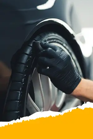 Chăm sóc, bảo vệ